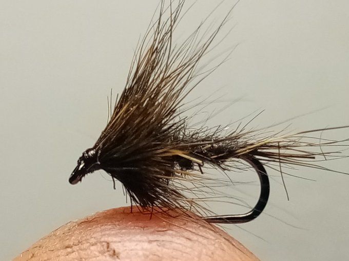 Oreille de chevreuil brown 